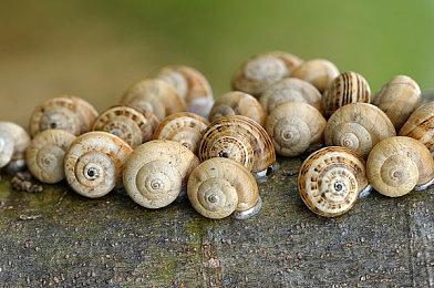 各退一步？微软正考虑出售英国云游戏市场权益