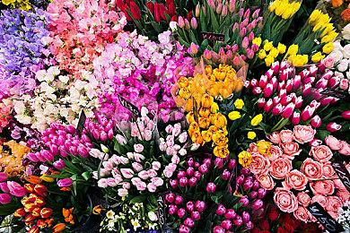 重温当年乐趣 民间大神自制NDS版《反恐精英》