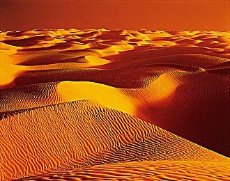 科隆展·未来游戏展8月22日开启 超50款游戏参加